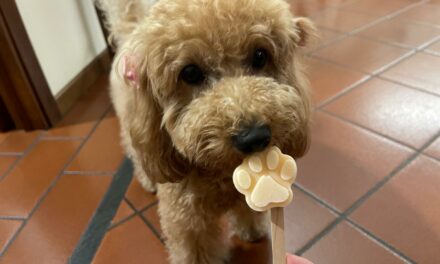 GELATO PER CANI CON MELONE E YOGURT